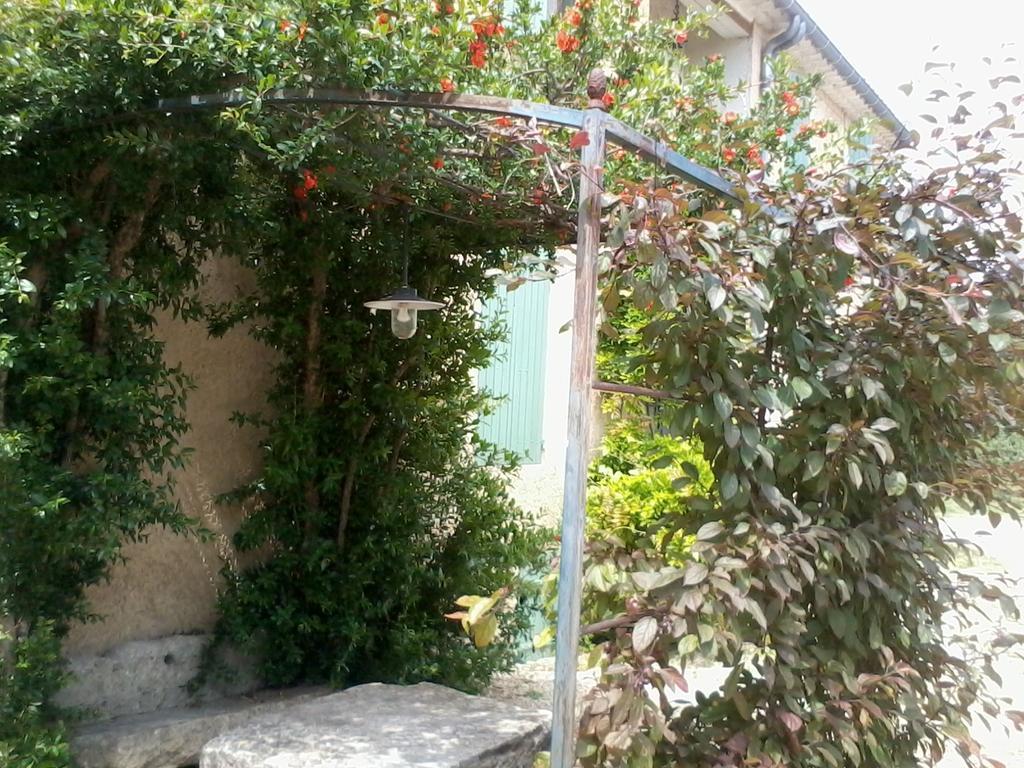 Mas La Vitalis Chambres D'Hotes LʼIsle-sur-la-Sorgue Dış mekan fotoğraf