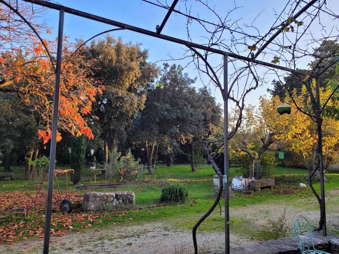 Mas La Vitalis Chambres D'Hotes LʼIsle-sur-la-Sorgue Dış mekan fotoğraf